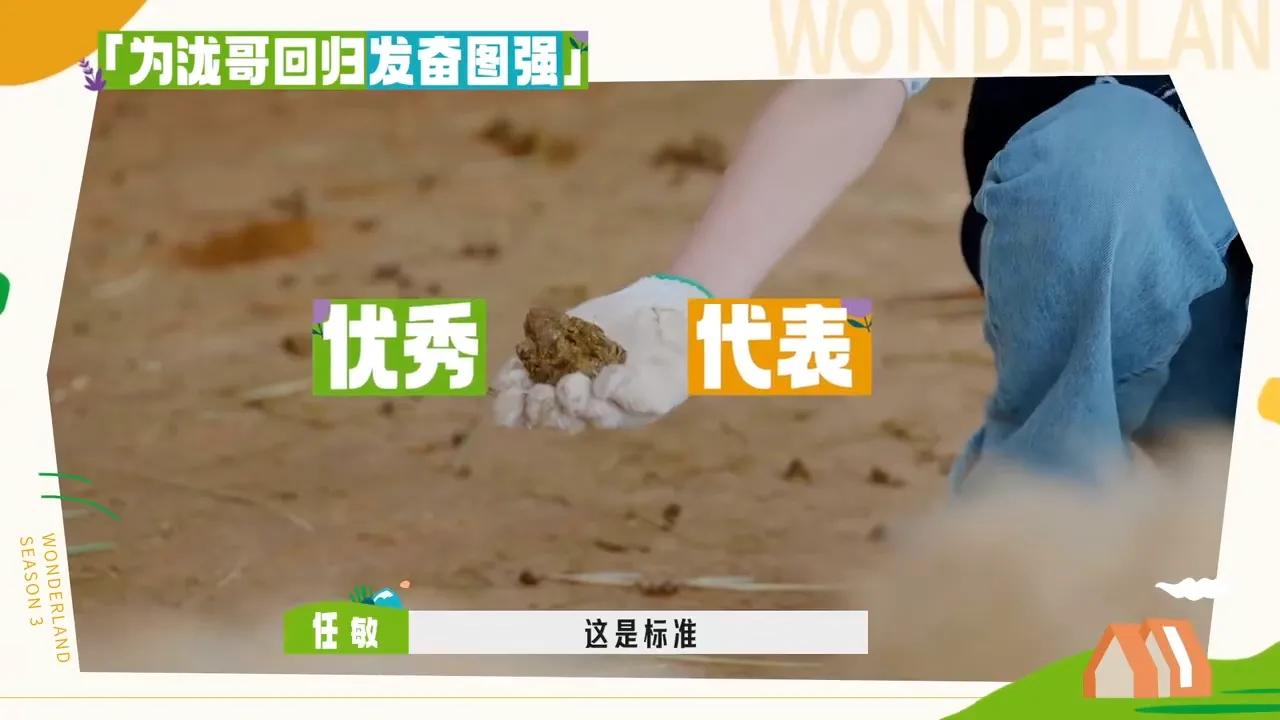 孟子义桃花坞捡羊粪是哪一期,敖瑞鹏桃花坞铲羊粪