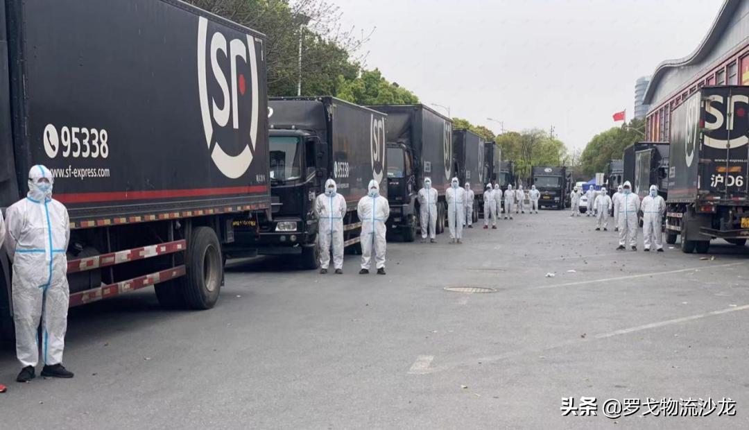 不受疫情影响的顺丰,疫情下的顺丰快递情况