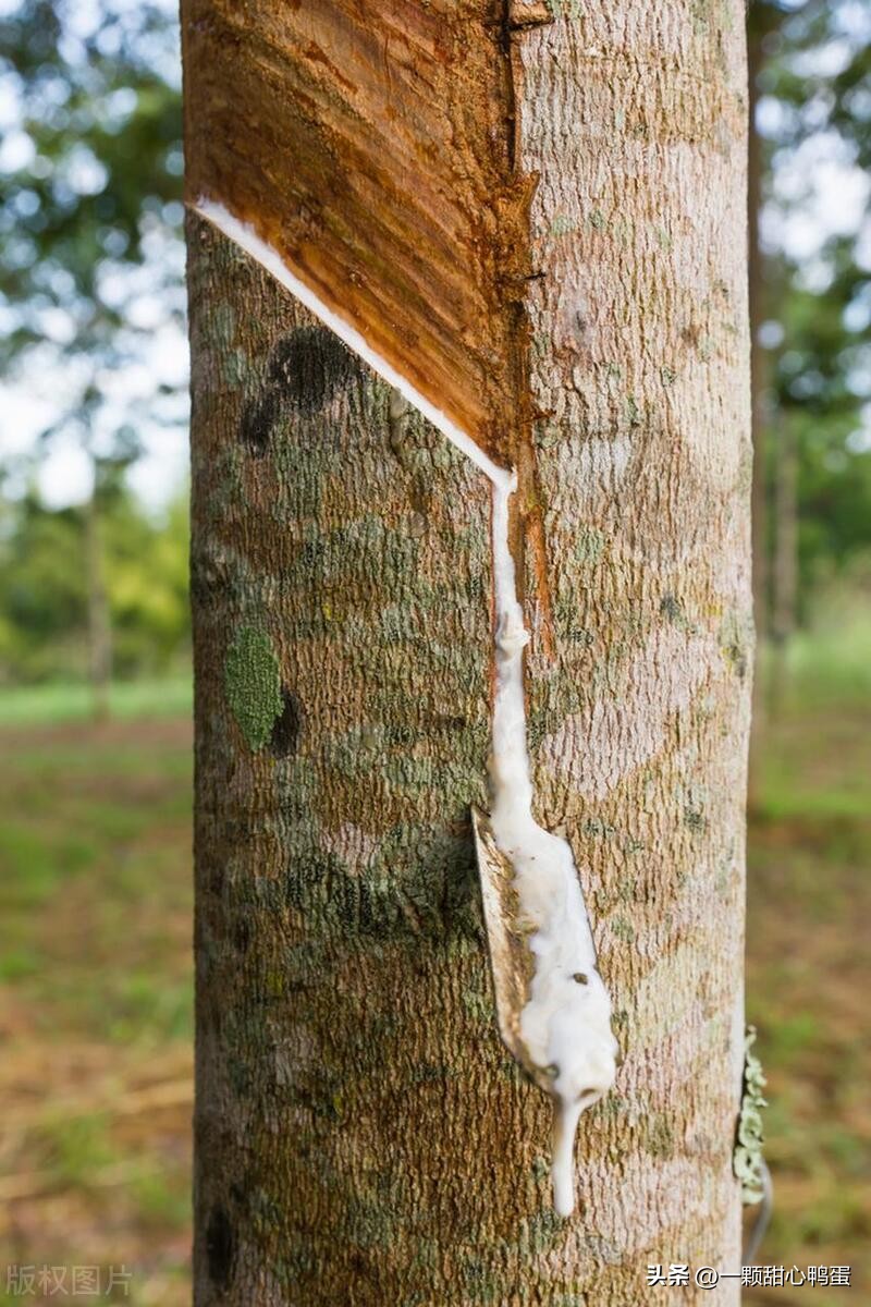 大宗商品需要什么资质,大宗商品交易是什么工作