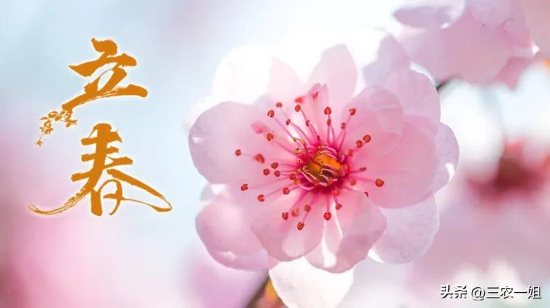 天气预报视频倒春寒,元宵节农谚谚语