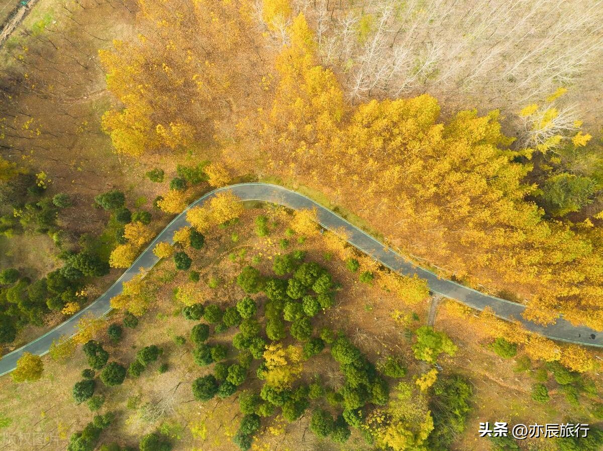 安徽江西适合小孩玩的旅游景点,浙江安徽山东周边旅游景点推荐