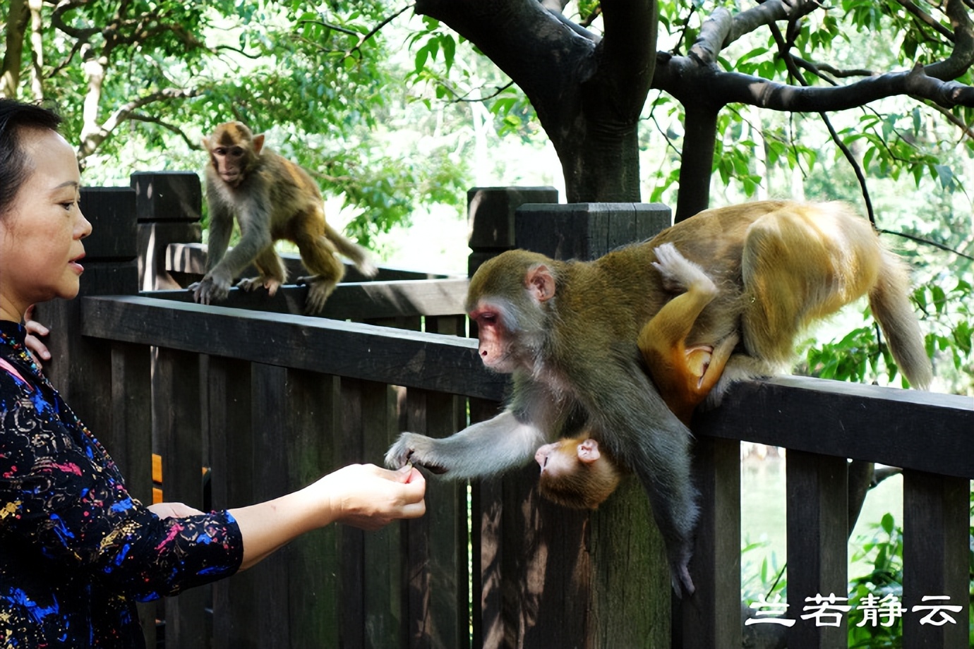 贵阳多彩贵州位置,贵阳多彩贵州城风景区