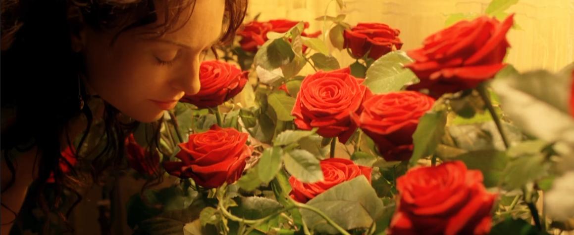 一个惊天的阴谋电影,一个惊天阴谋的电影