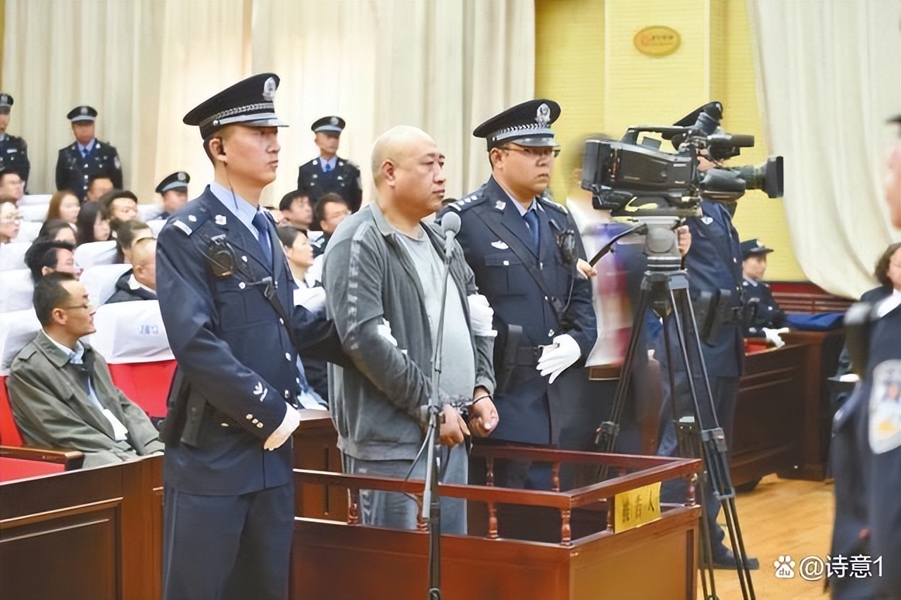 白银案纪实,案件解说白银案