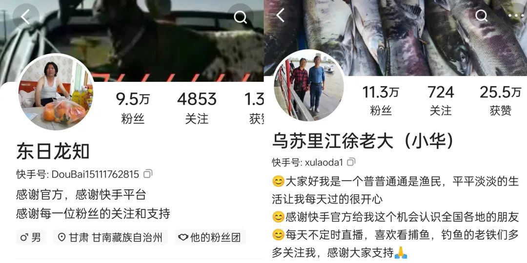 快手新视野,重新理解快手