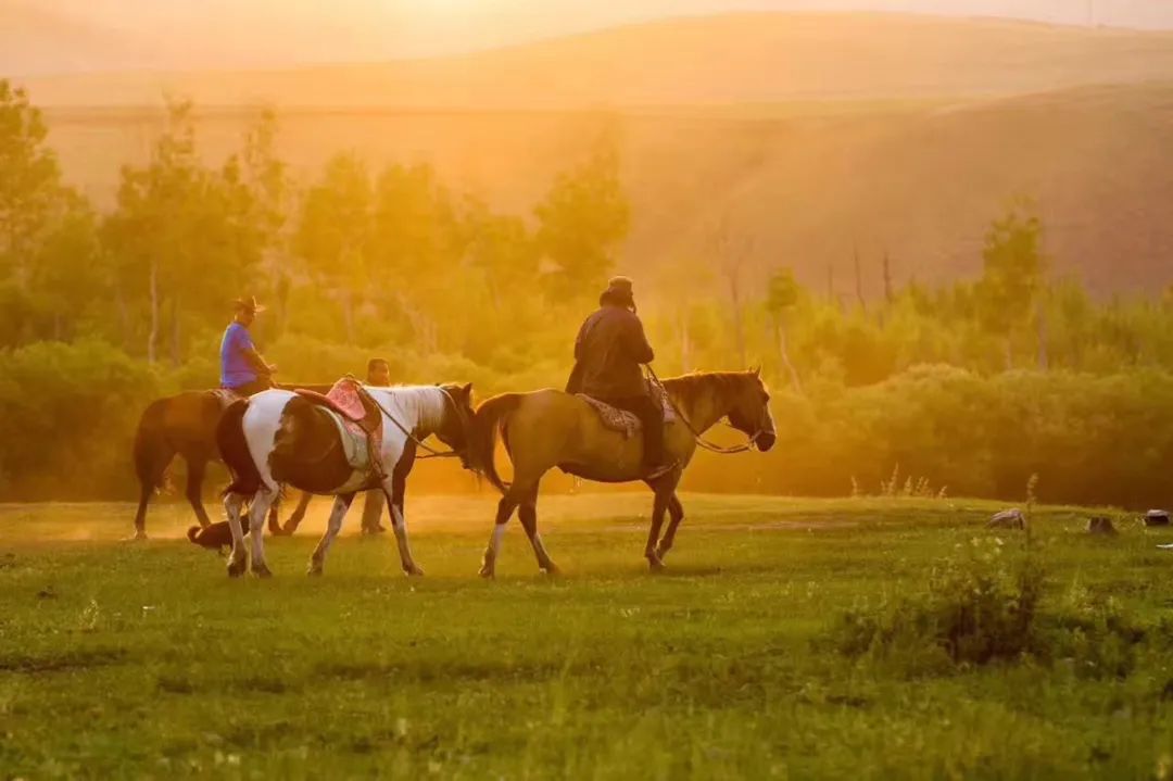 内蒙呼伦贝尔游攻略,呼伦贝尔旅游攻略大全图片