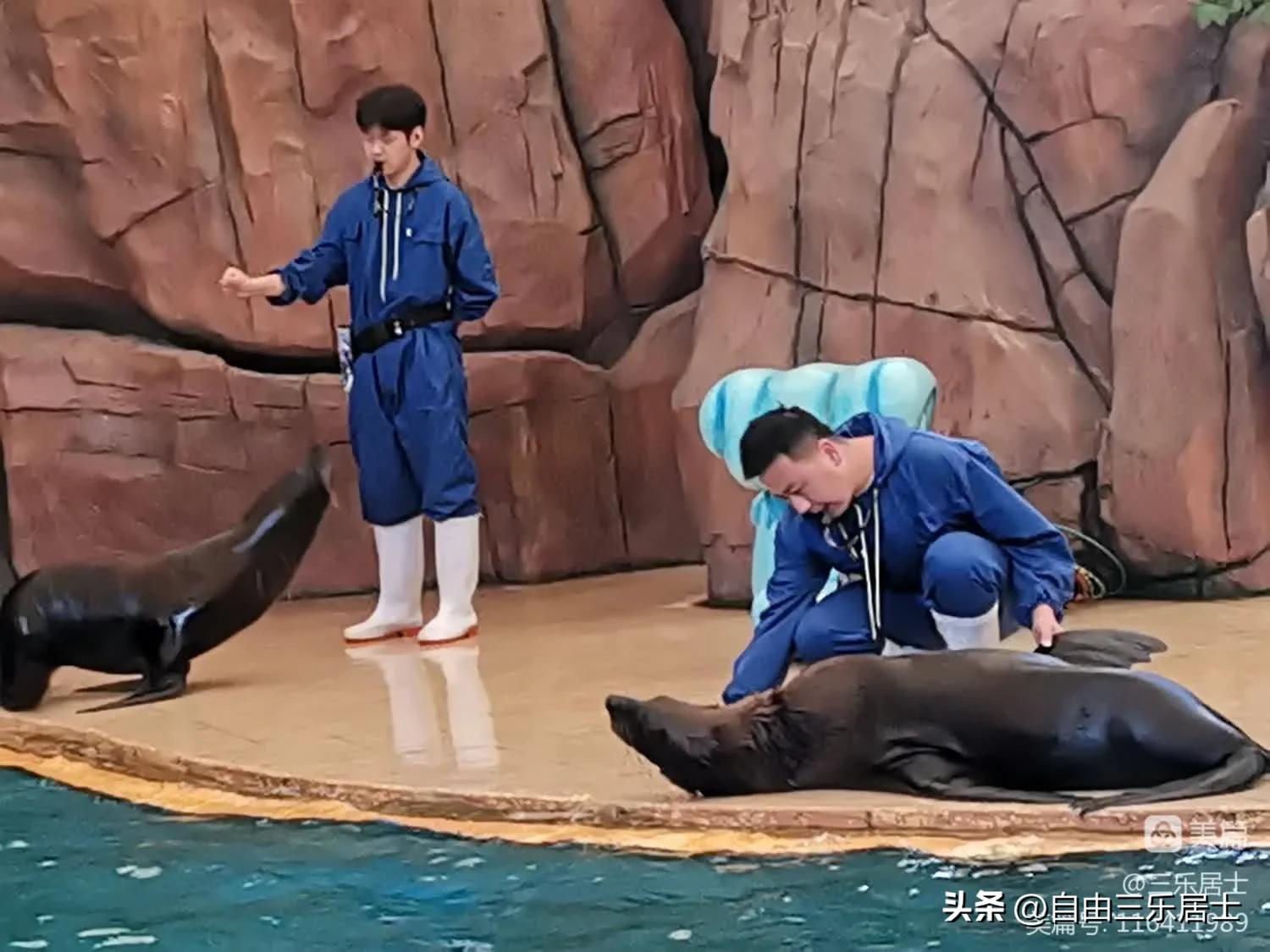 常州恐龙园游记,常州恐龙园游记图