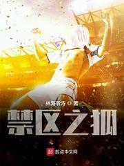 比较好看的足球小说,十大公认最好看的足球小说