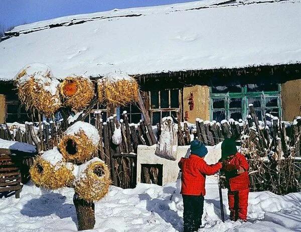 东北胖娃娃大花袄,胖孩儿野菜