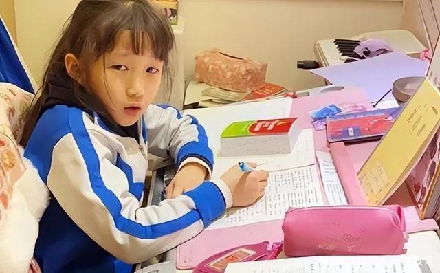 学生必备的便宜文具,学生推荐不太贵的文具