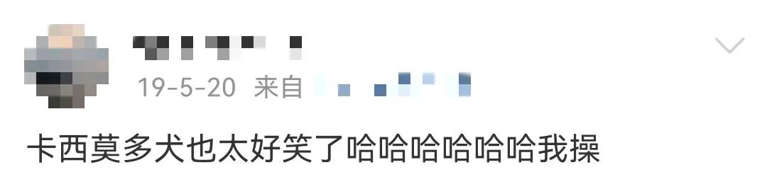 这样的阴间猫狗审美，早该翻车了