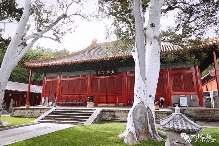 神秘的五个地方,神秘的5个地方