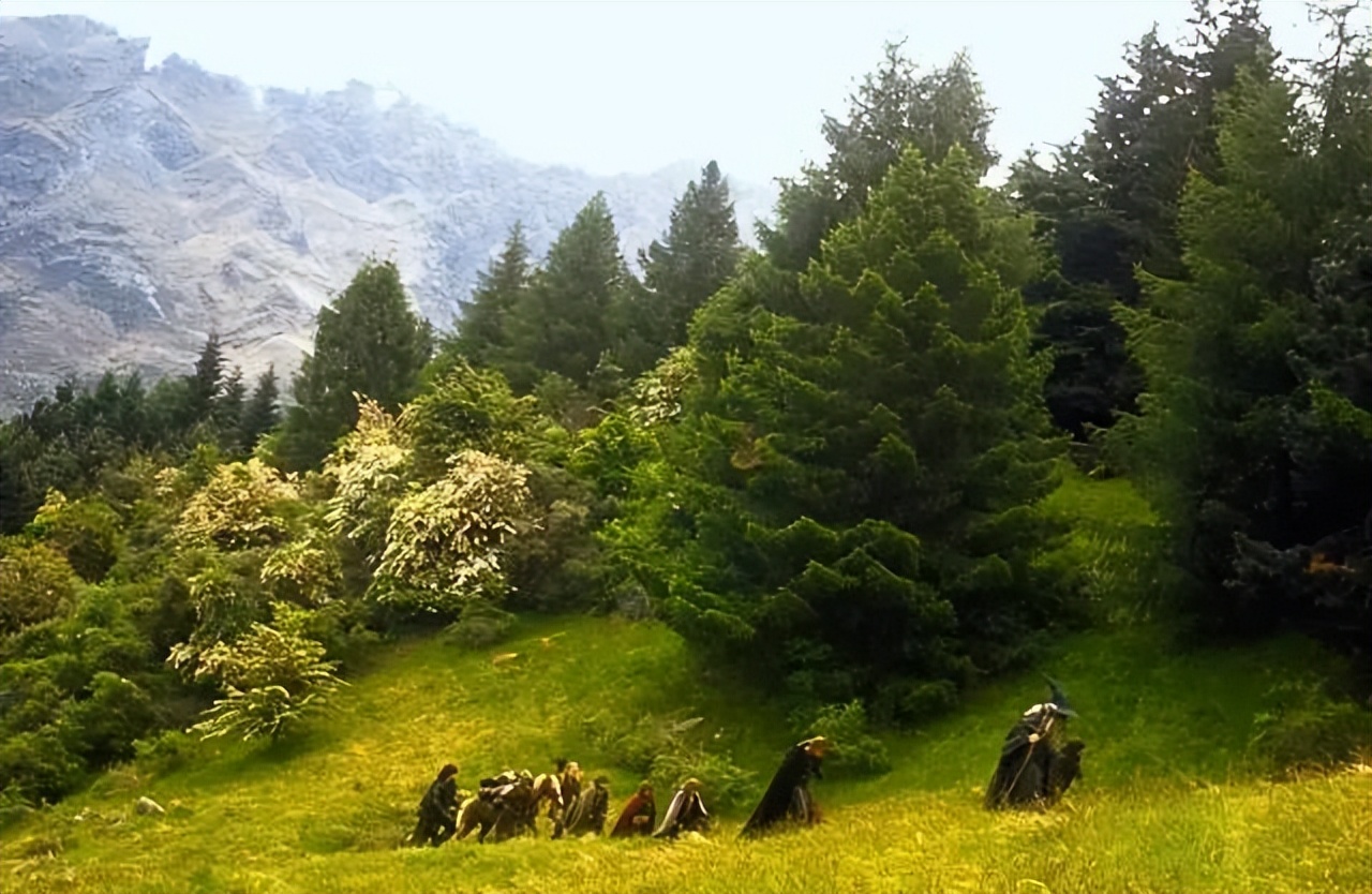 投资7.15亿美金，《指环王》新剧为什么口碑雪崩？