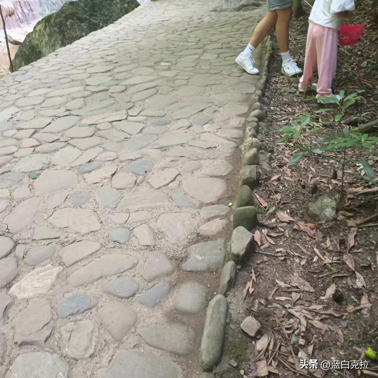 商洛两天一晚跟团游,跟闺蜜张家界两日游