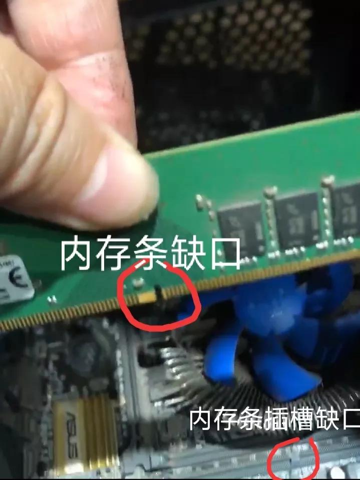 电脑显示器不亮但是主机键盘灯亮,主机亮键盘灯亮显示器不亮