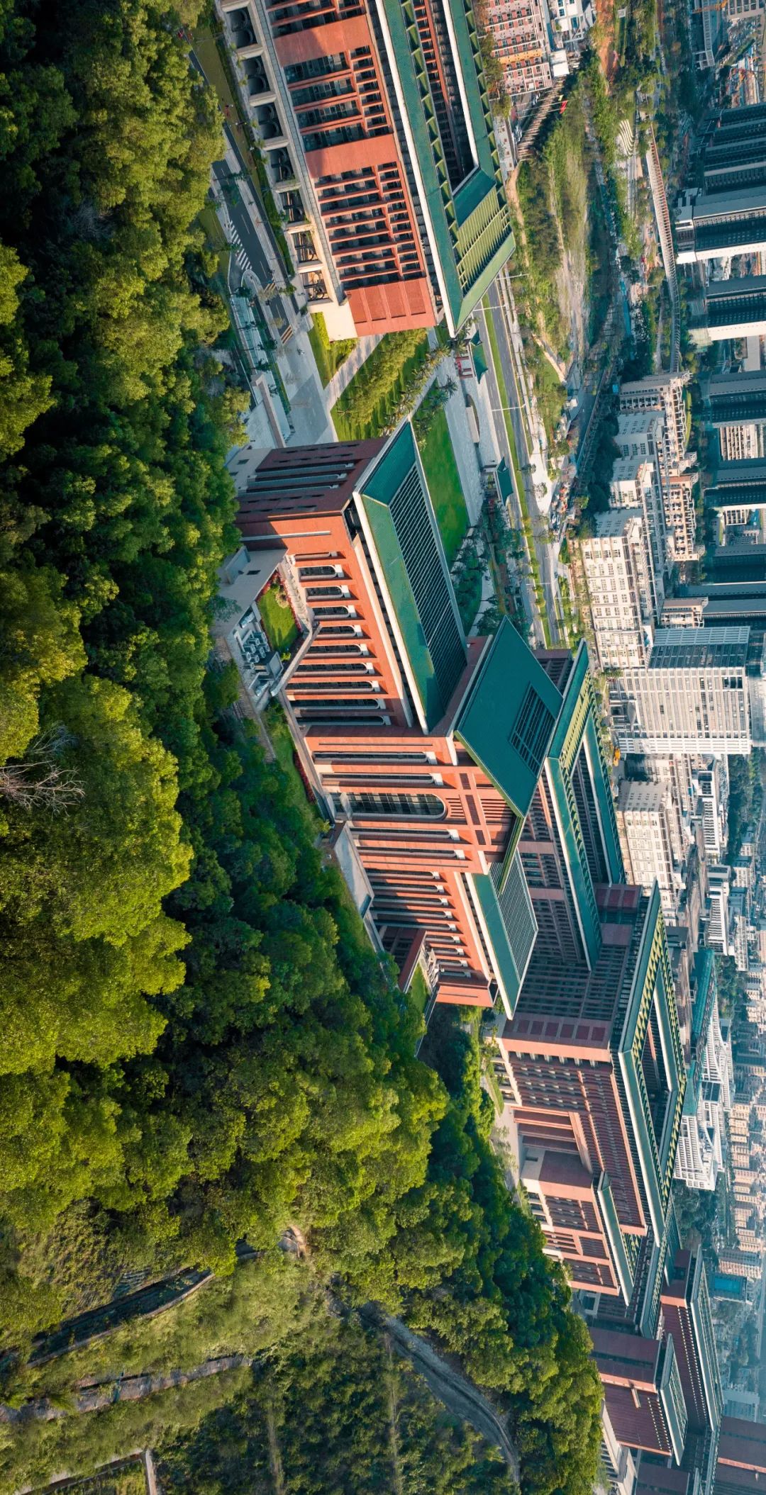 华南第一学府：中山大学,华南最高学府
