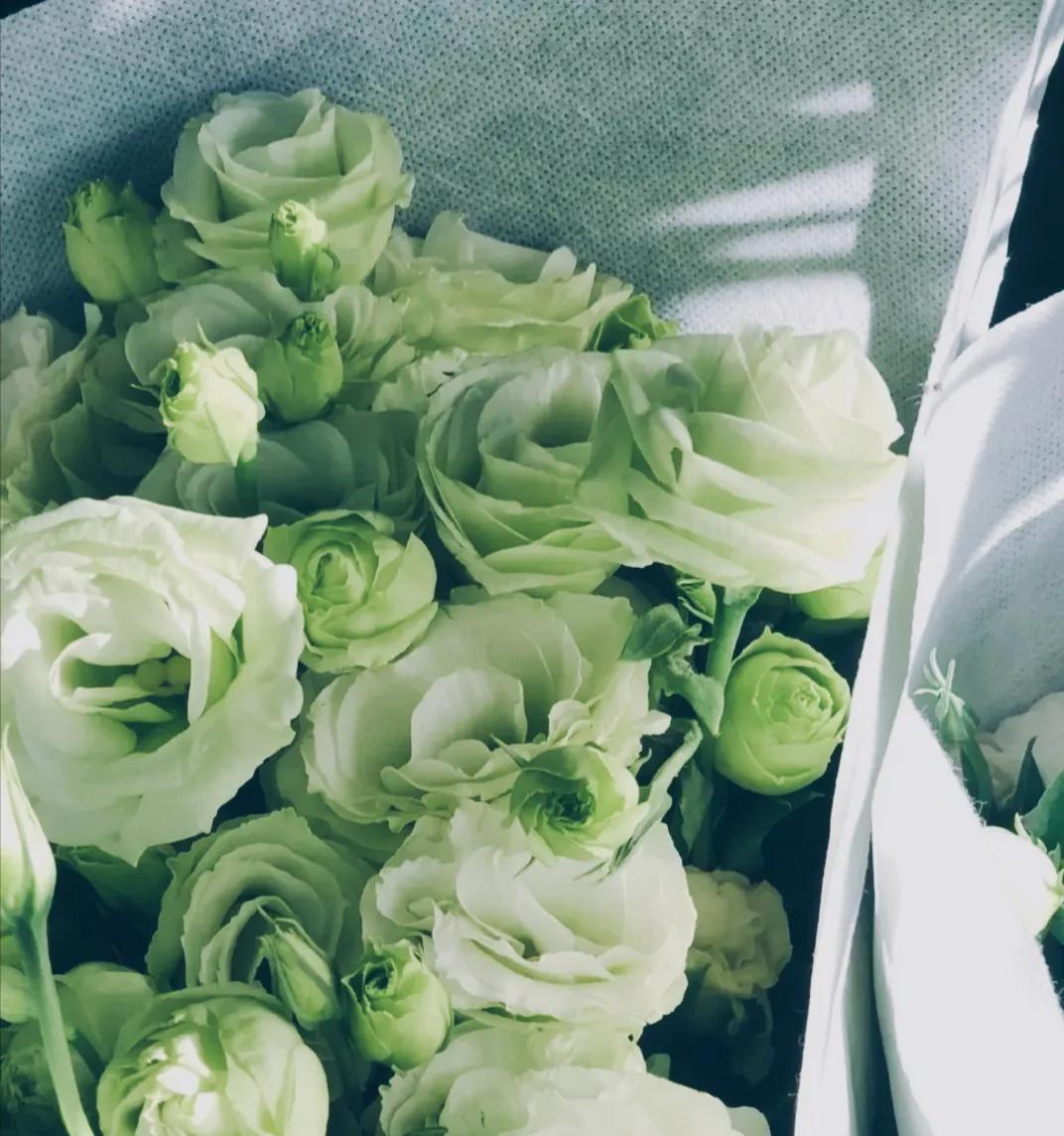 如何利用下班三小时，狠狠提升自己