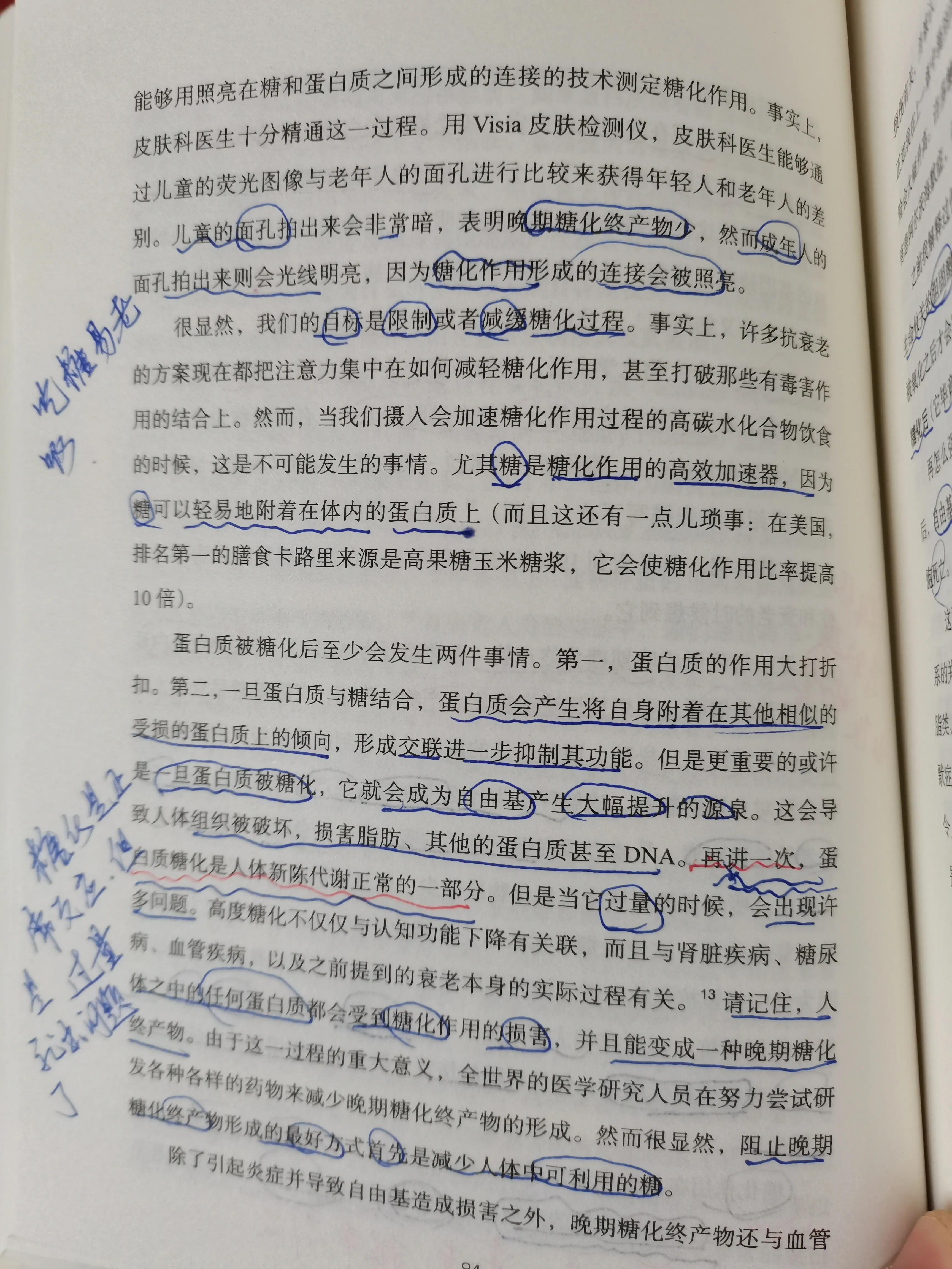 谷物大脑具备权威性吗,谷物大脑有人看过吗