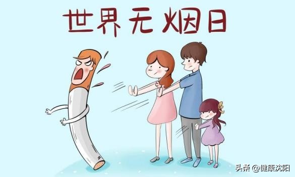 世界无烟日吸烟对身体的十大危害,世界无烟日烟的危害不容小视