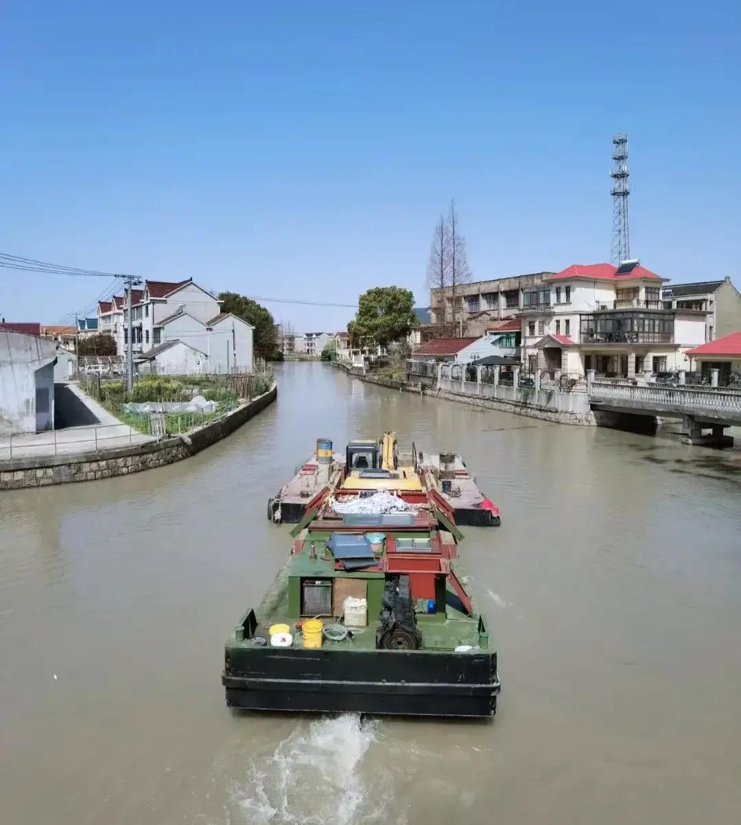 上海浦东稻田,浦东新区稻田风光美如画