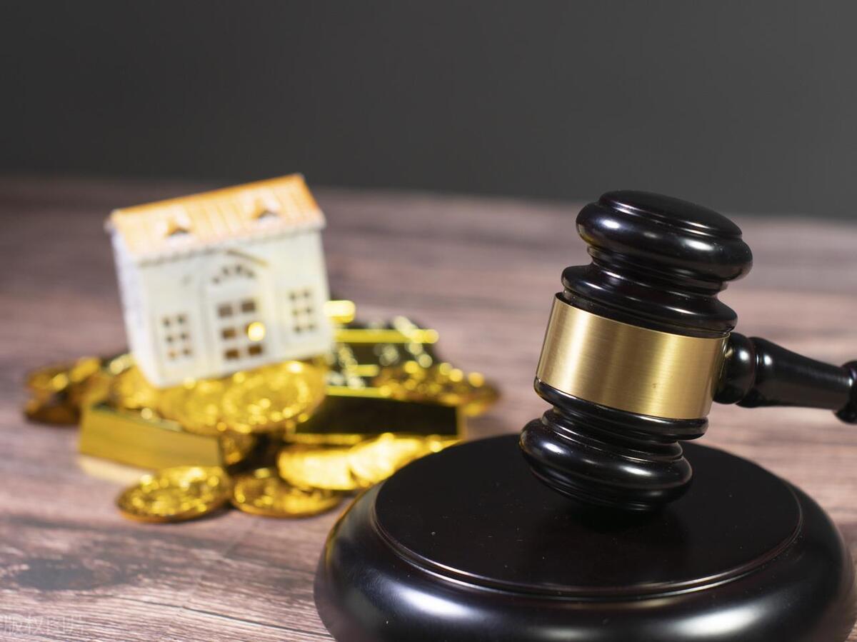 法律与经济学诉民生社会:托马斯·库利和亨利·亚当斯案例1