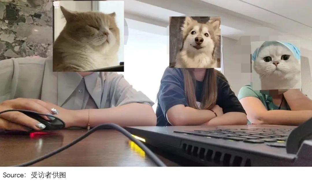 高考志愿填报的方法及技巧的视频,高考填报志愿可以做什么生意