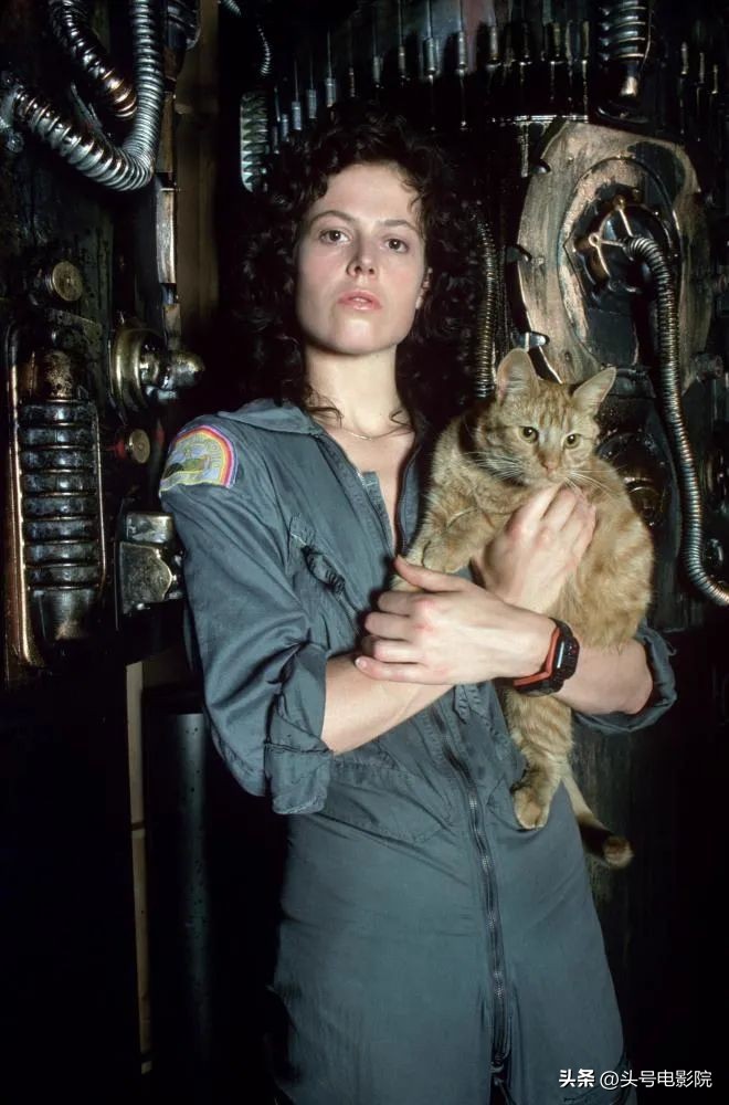 豆瓣8.4开分！揭秘《阿凡达2》主角：73岁奶奶演少女，70岁演反派