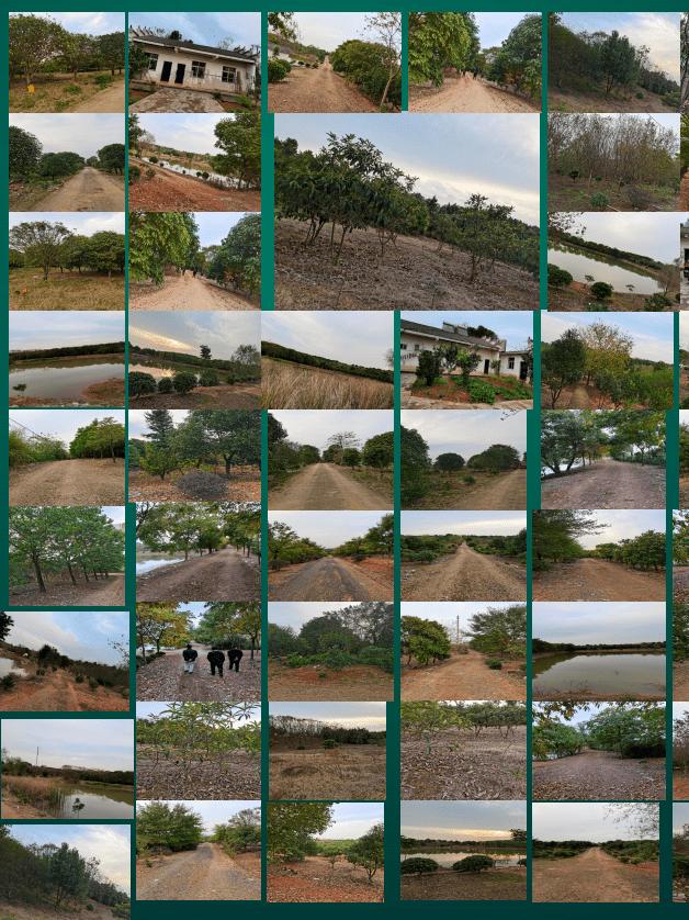 澹规櫙鍥灄鏈夐檺鍏徃,姝︽眽灏氫笘鍗庢櫙鍥灄宸ョ▼鏈夐檺鍏徃