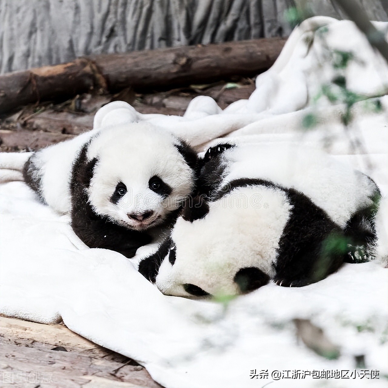 书荒不愁的小说,书荒不愁推荐书籍