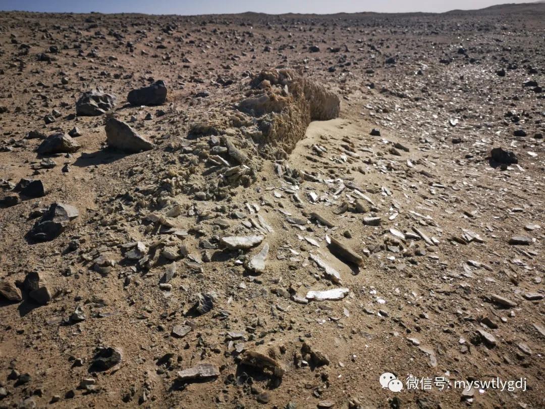 探索神奇的地方合集,探索神奇