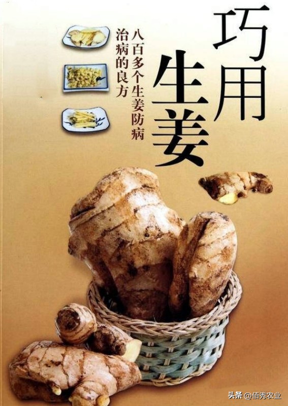 种植中药材前景最好的前十名,目前什么中药材种植前景好收益高