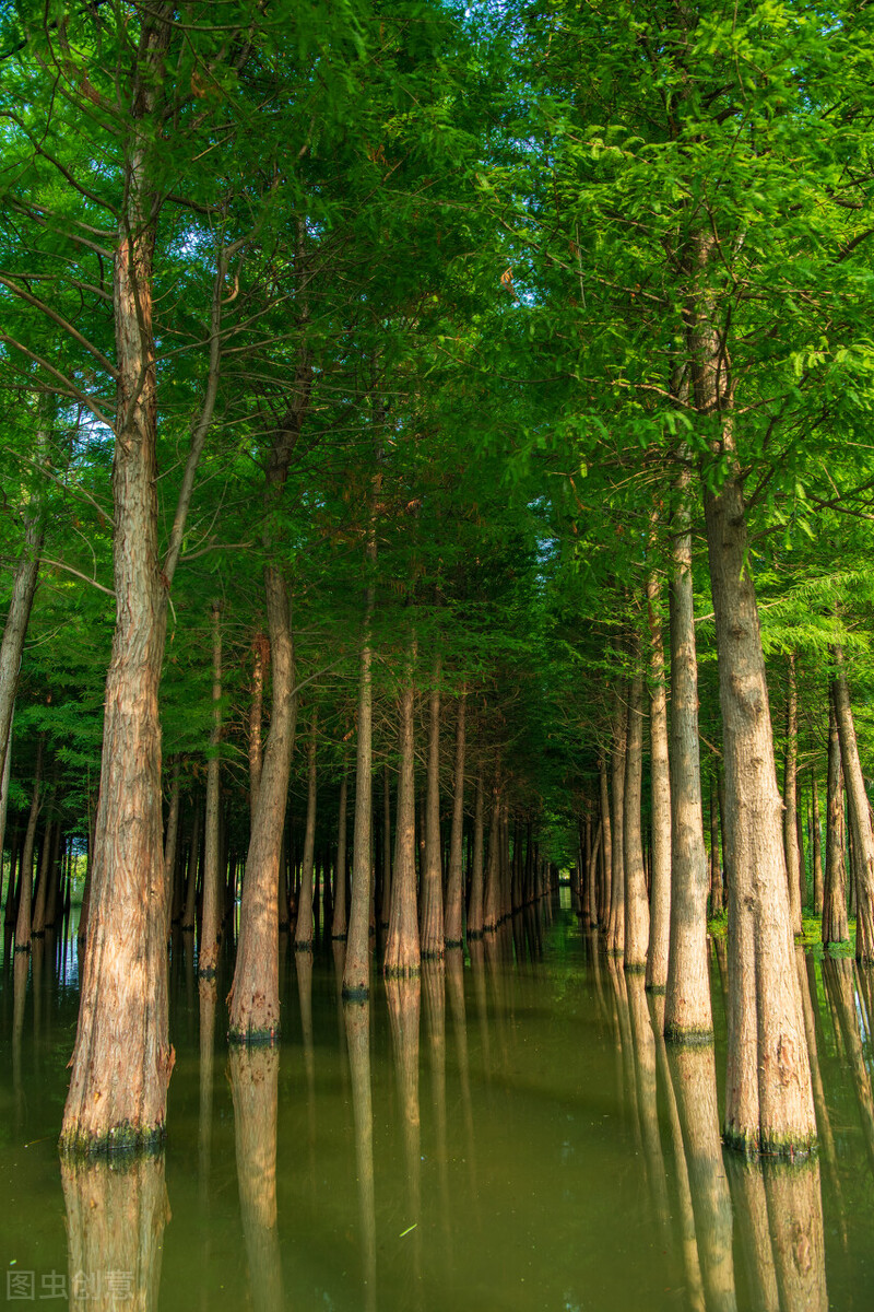 昆明星海半岛湿地公园免费开放吗,昆明的十大湿地公园有哪些好玩的