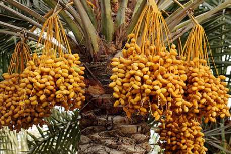 西亚有哪几个国家地图,西亚有哪些国家多大面积