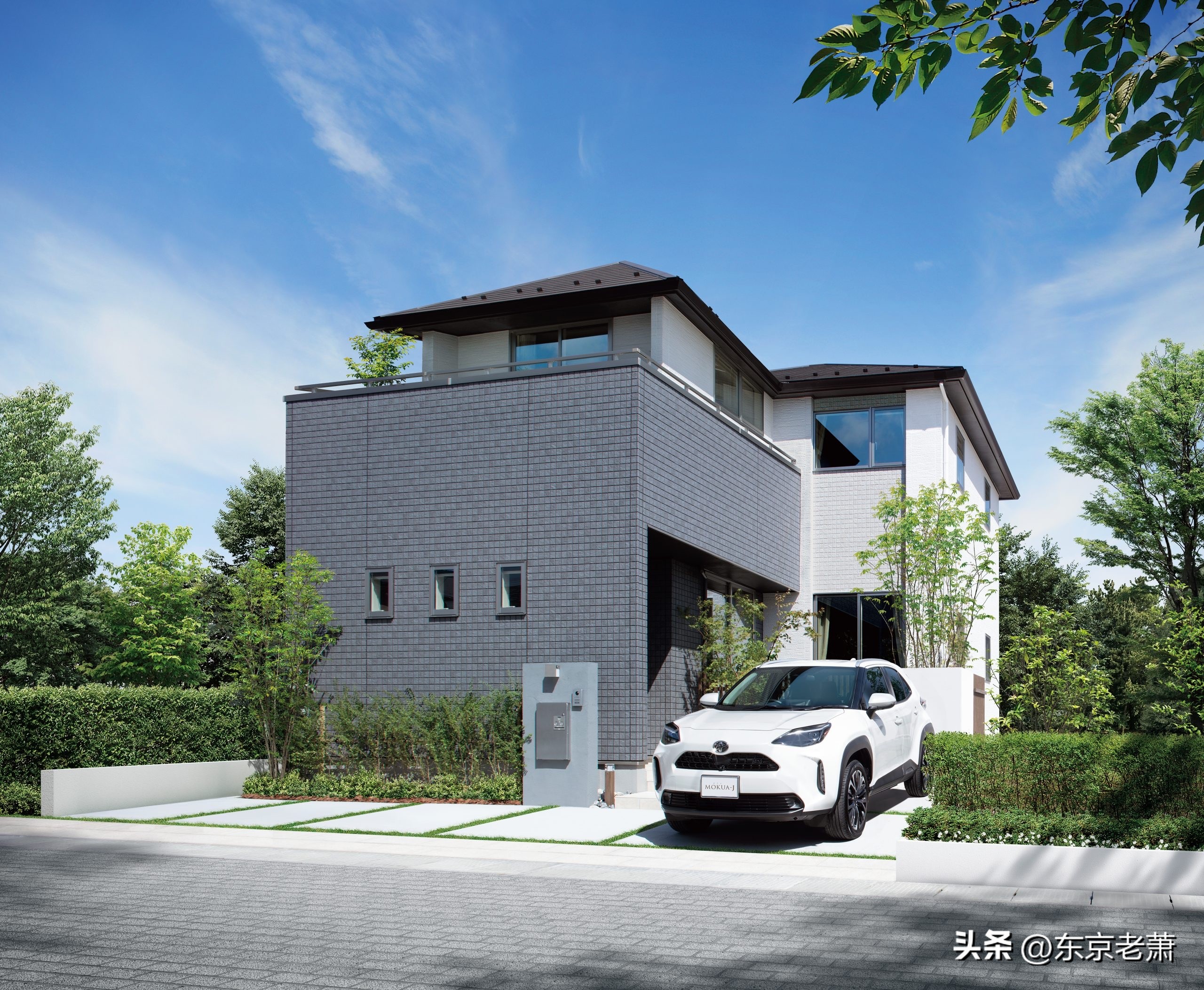 简历造假、项目加盟、过户*局骗**——2023版日本签证采坑实例