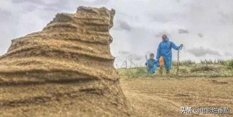 乐嘉为什么喜欢大吼大叫,乐嘉情绪失控经历