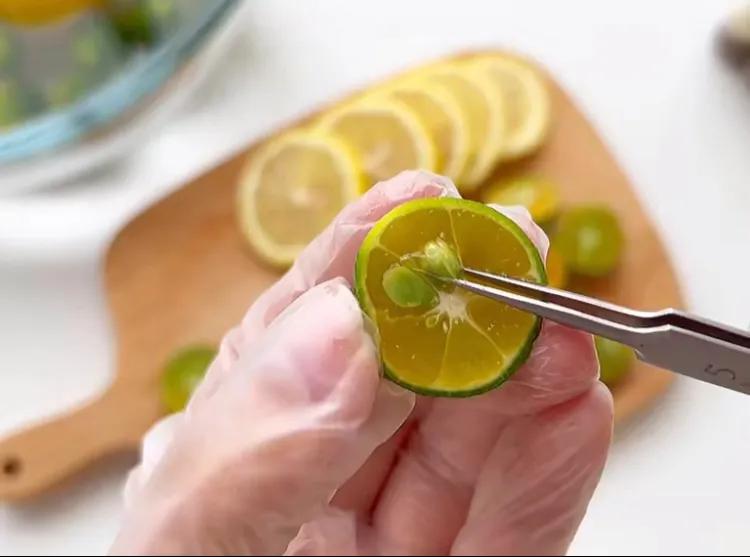 【野餐露营】不能少的自制水果茶