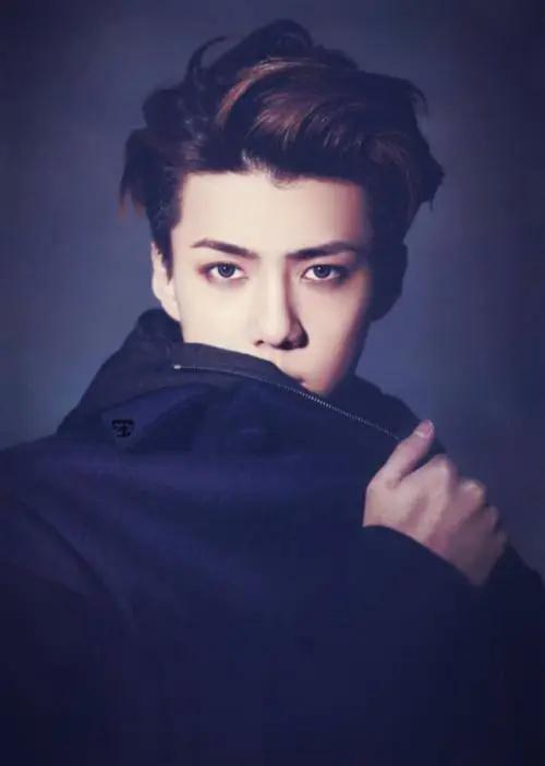 exo最帅的人鹿晗,exo颜值第一鹿晗