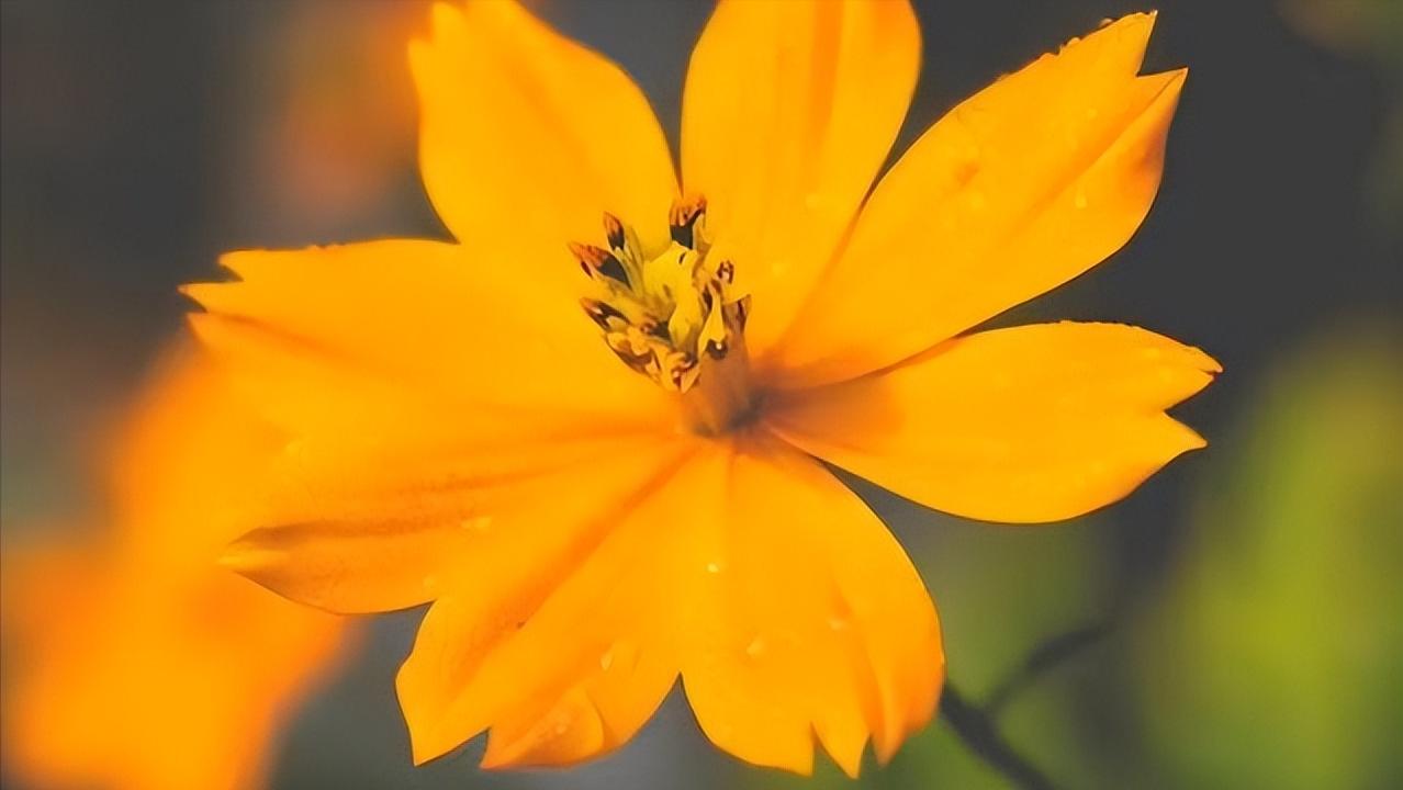 两个有家室的人相爱了该怎么抉择,两个有家室的人在一起最好的办法