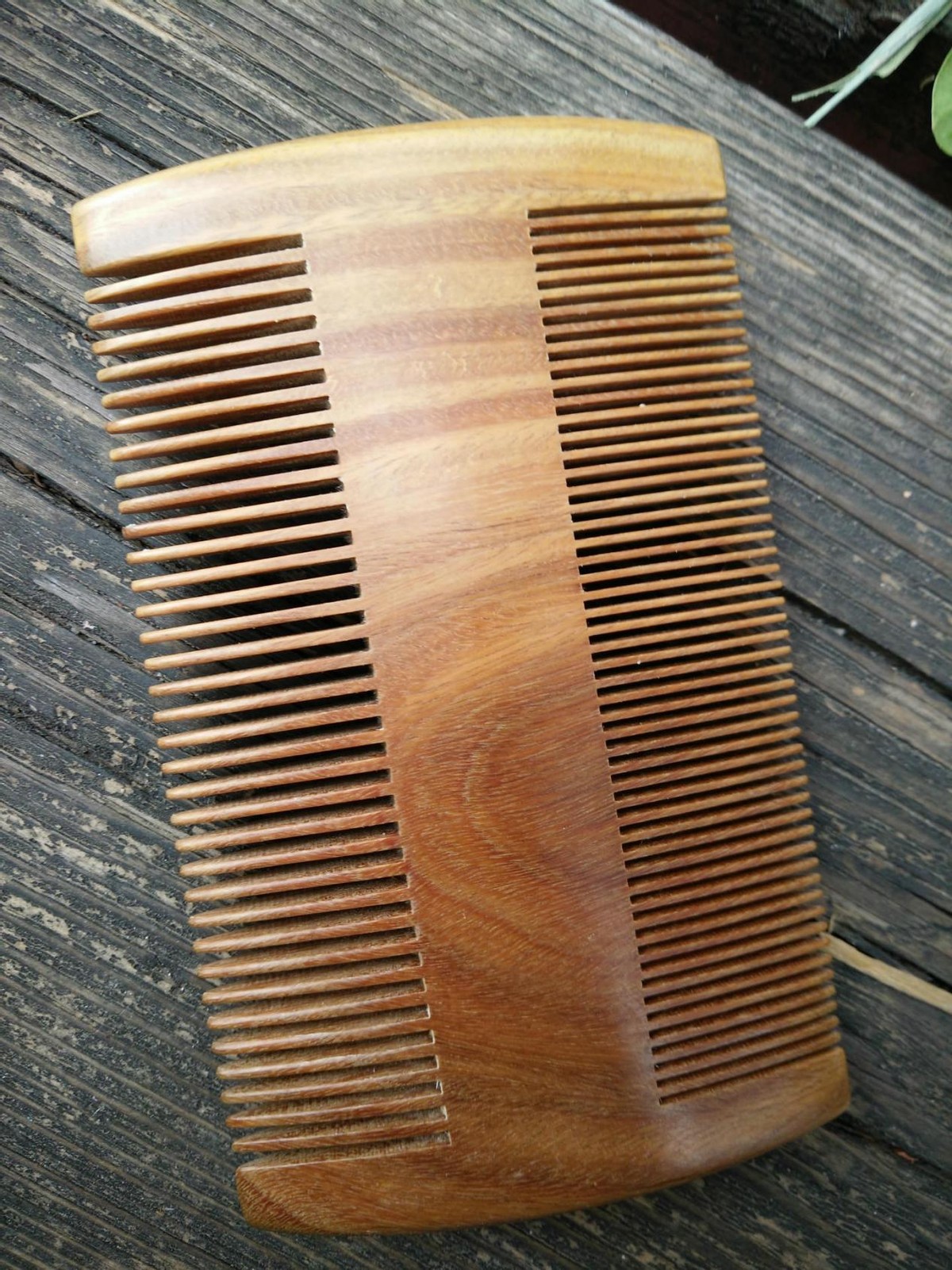 生存了5亿年的物种,生存几亿年没灭绝的生物