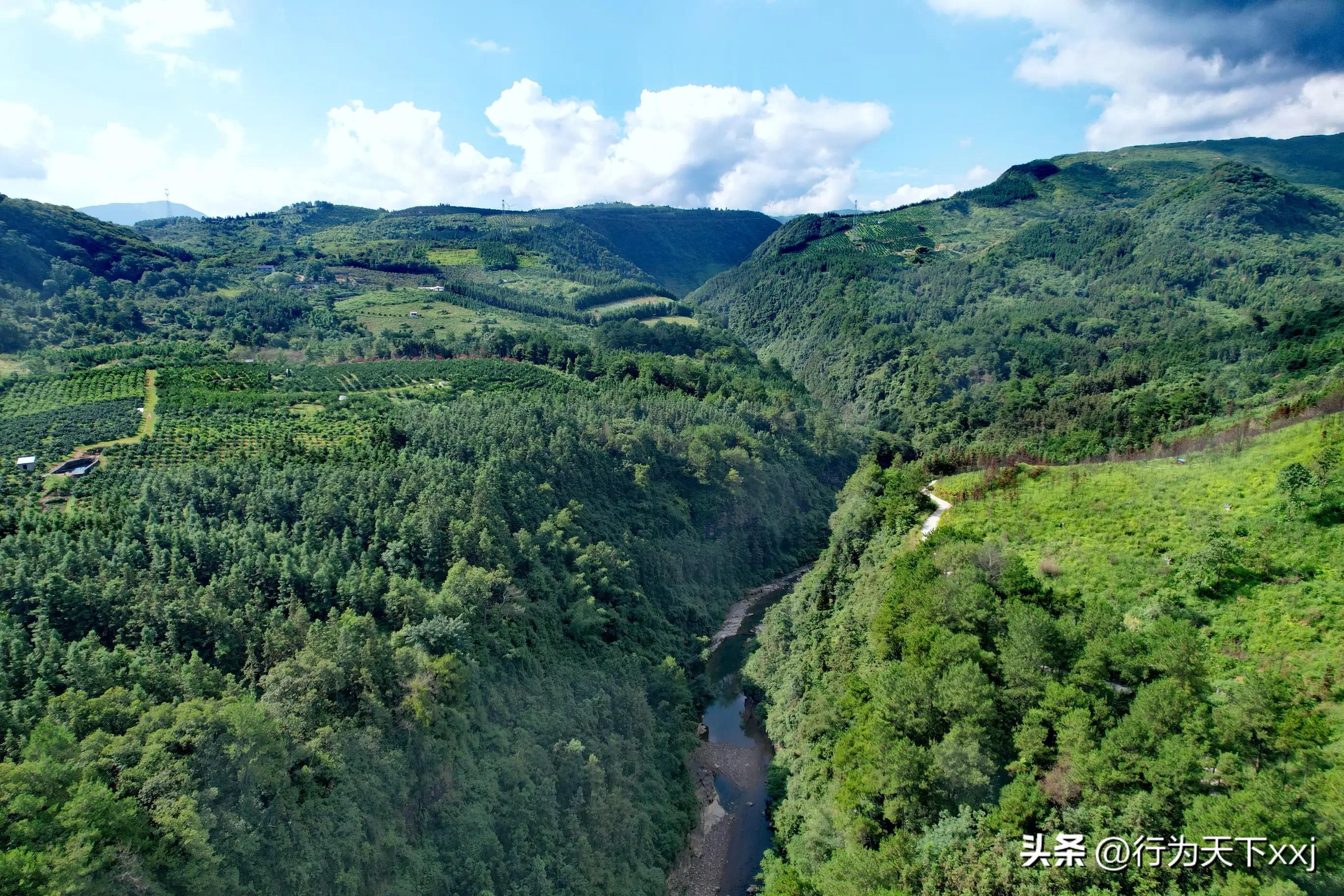 避暑天堂惹人醉完整版,避暑胜地康养天堂
