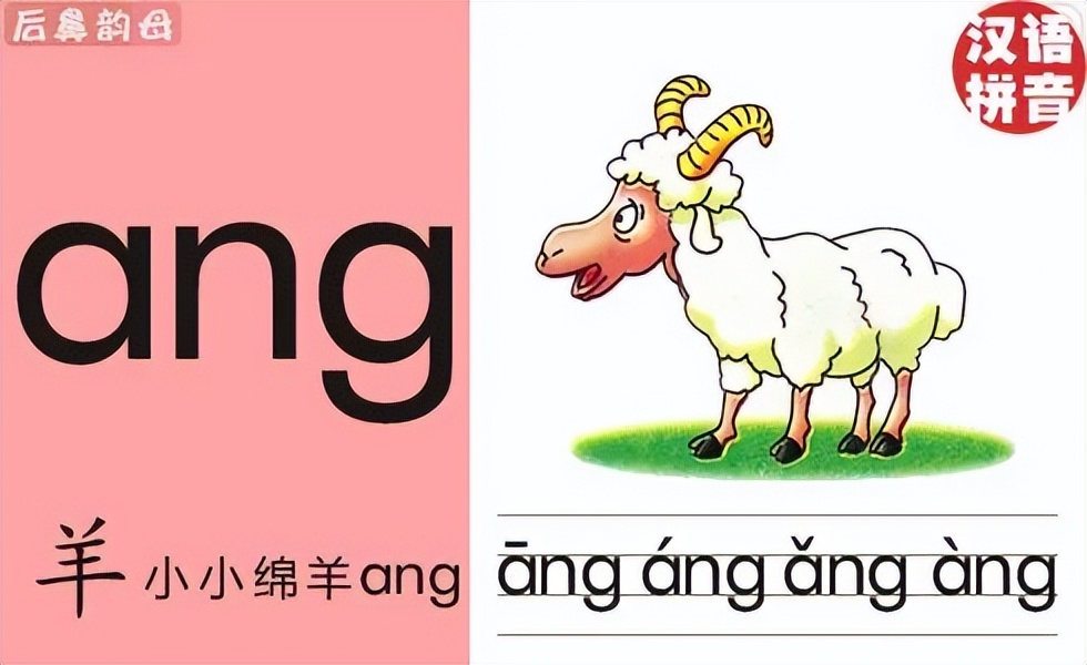 儿童拼音声母韵母整体彩色卡片,小学拼音声母韵母拼读全表
