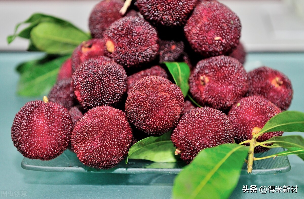 杨梅虫子有蛋白质吗,杨梅有虫子怎么吃