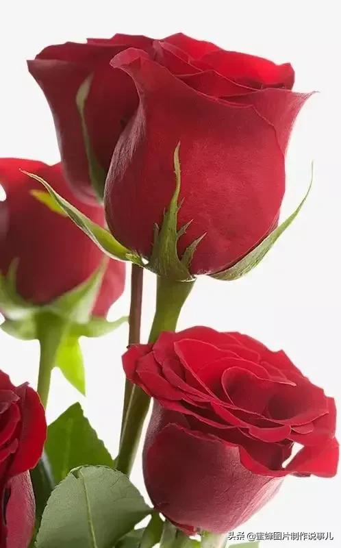 美图分享女神魅力照片,美图分享楚楚动人