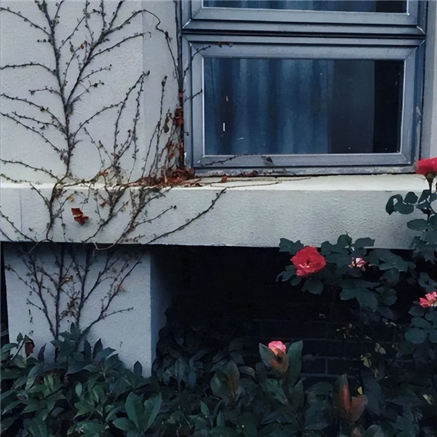 擦干眼泪不要伤悲,擦干眼泪图片