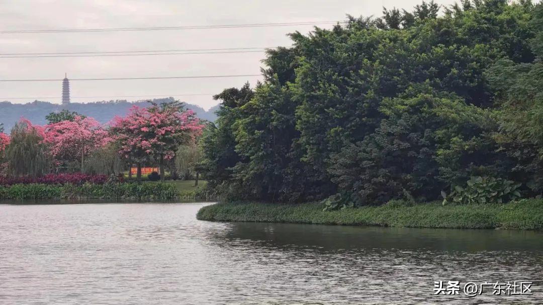 春季国内观鸟热门地,这份观鸟地图请收好