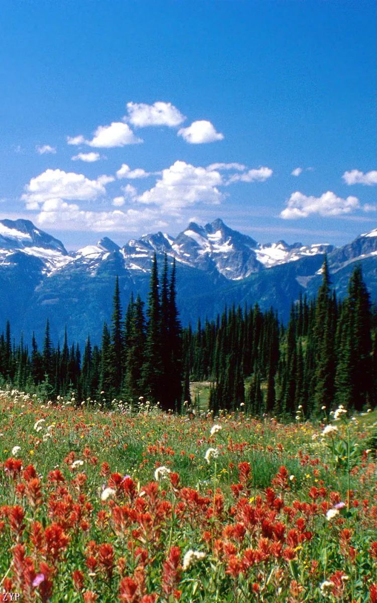 震撼眼球的绝美风景,世界震撼美景美图