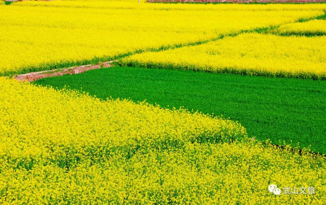 中国十大魅力之城——天水欢迎您来打卡千山万水就爱天水魅力五月打卡十有武山——,四马年村