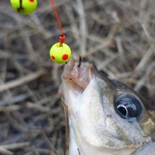 珠珠钓法适合在什么季节钓效果好,珠珠钓法适合哪些水域