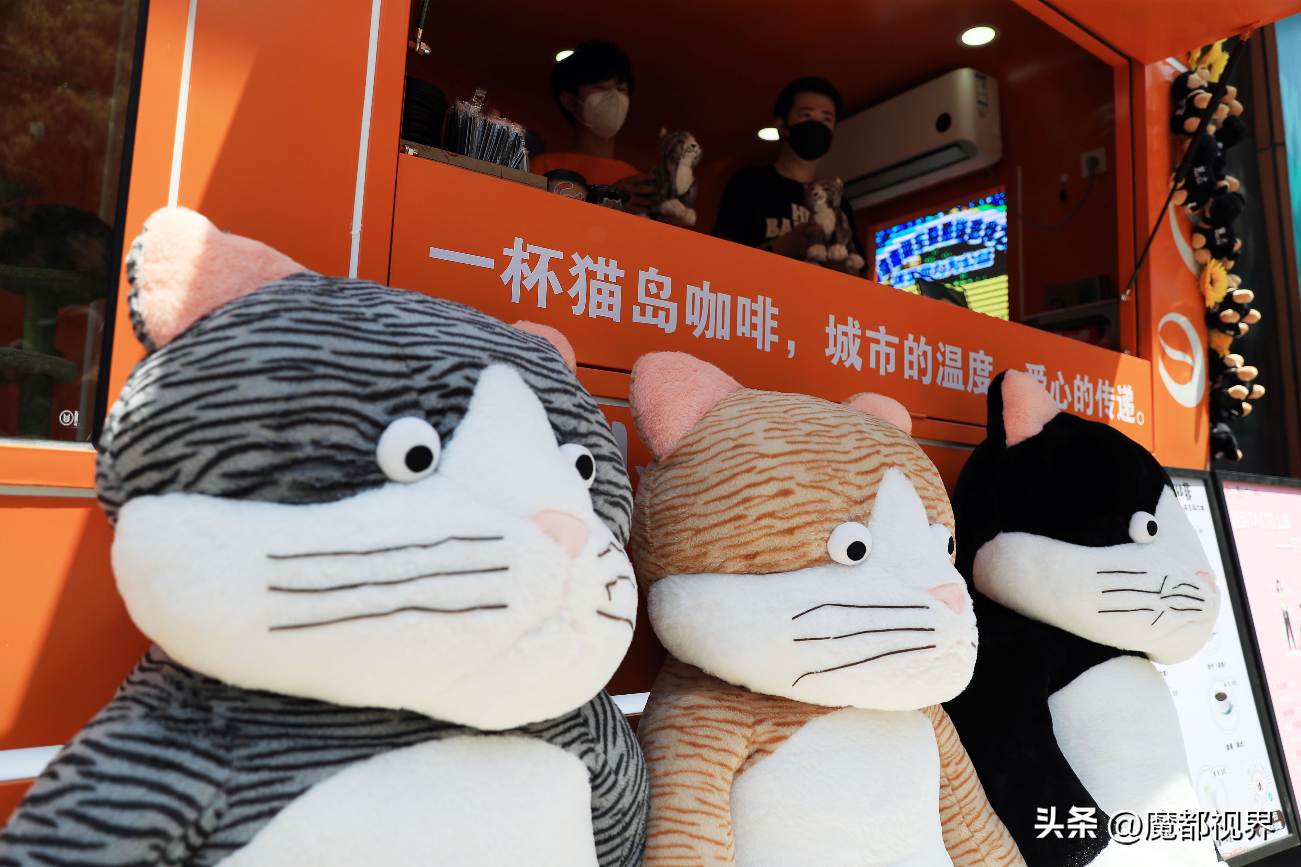 上海市文明养宠嘉年华,上海首届文明养宠嘉年华