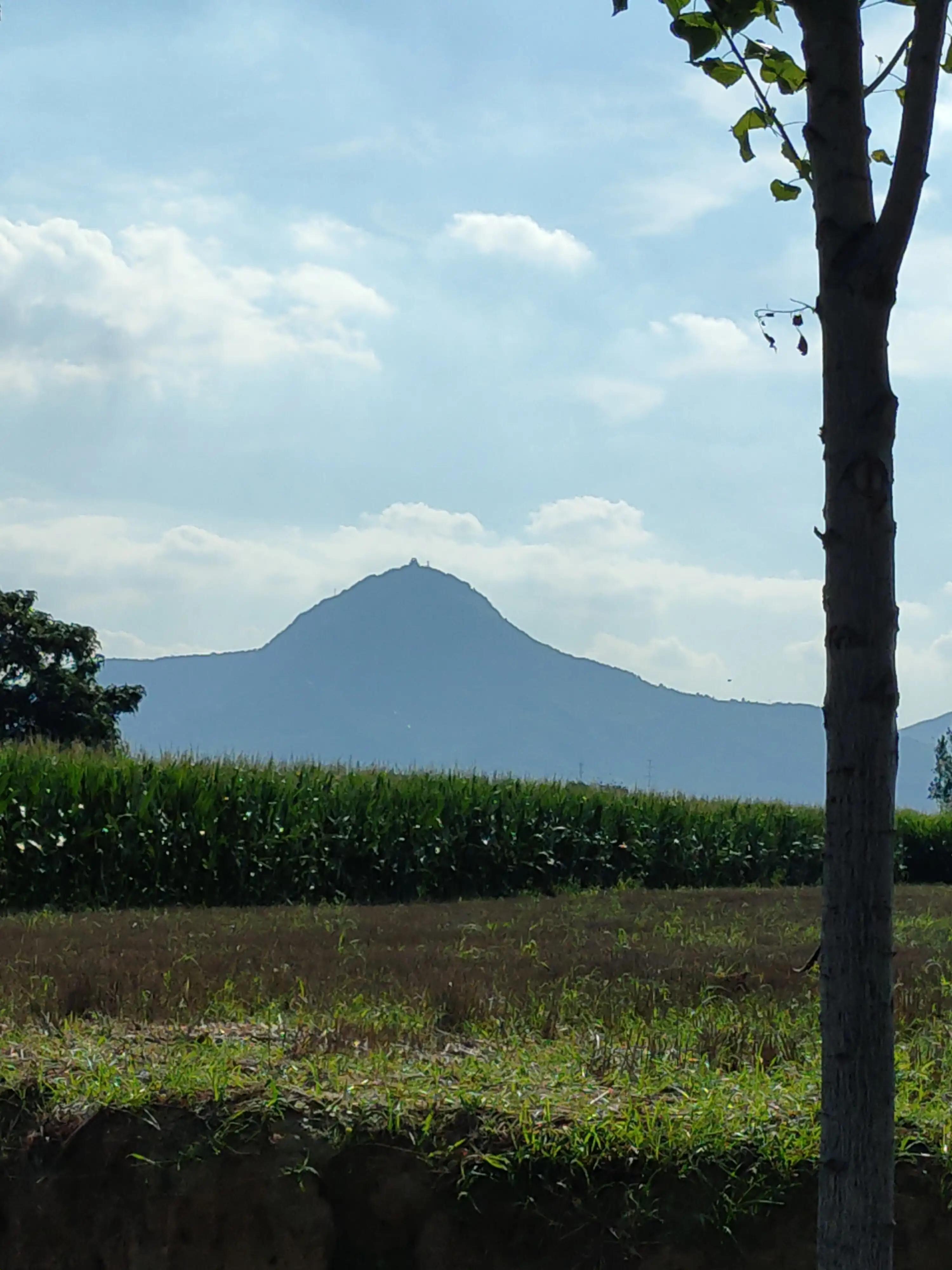 史庄村“五星”支部创建七律/李清民中华诗词学会会员